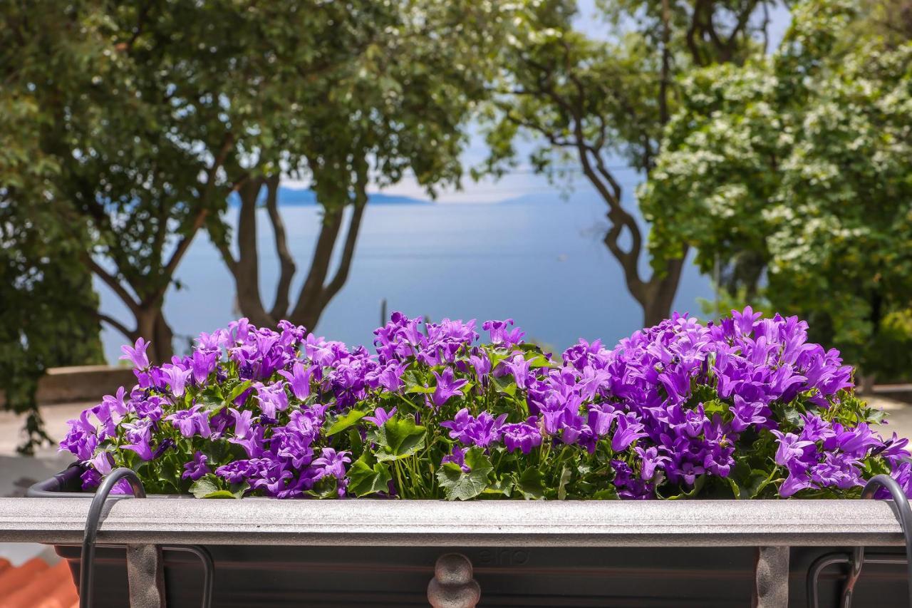 Ribica Luxury Rooms Fiume Kültér fotó